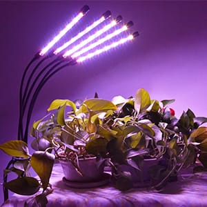 grow light