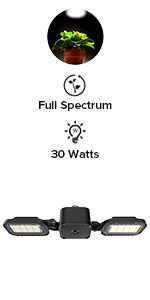 30W