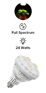 24W