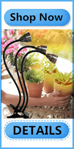 plant growth light
