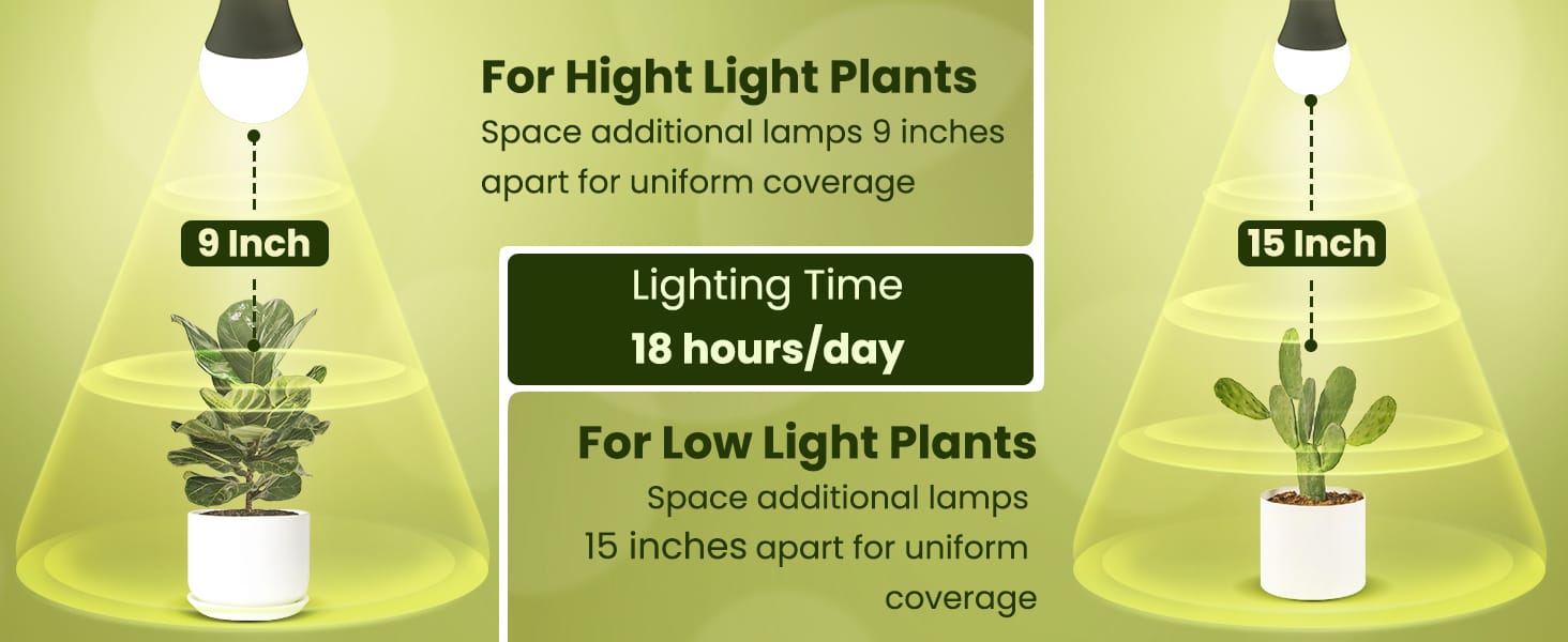 full spectrum light bulb