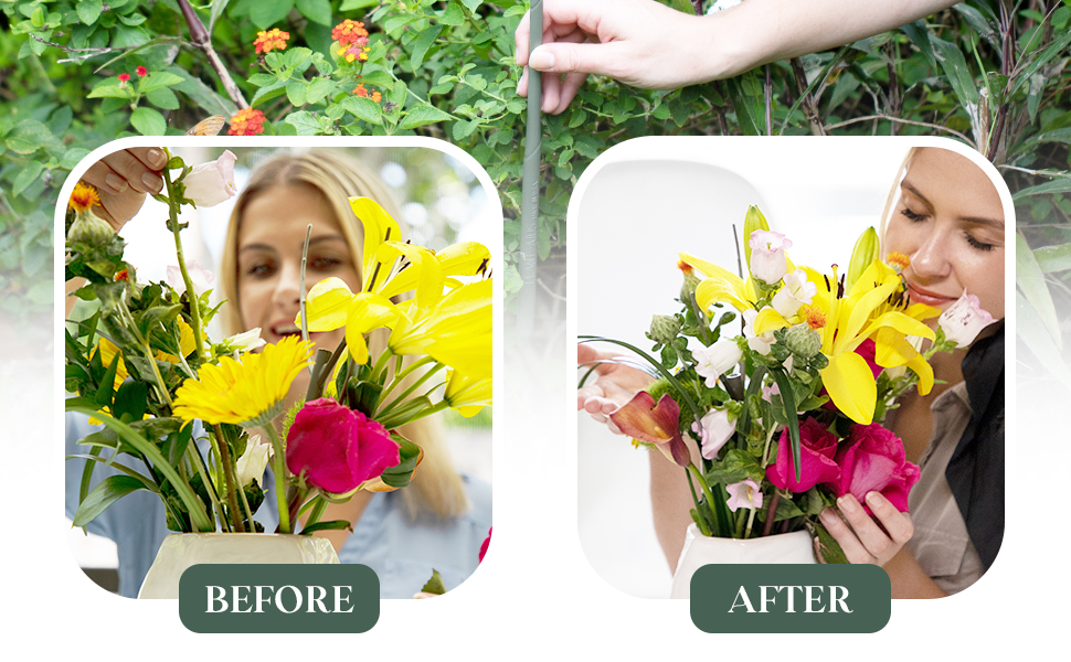 Before & After