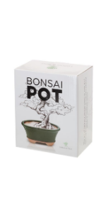 green bonsai pot
