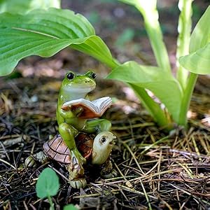 4396 miniature fairy garden frog reading book on turtle