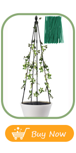 garden trellis