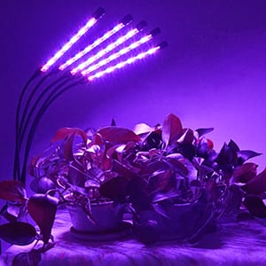 grow light