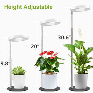 plant grow light