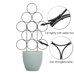 trellis