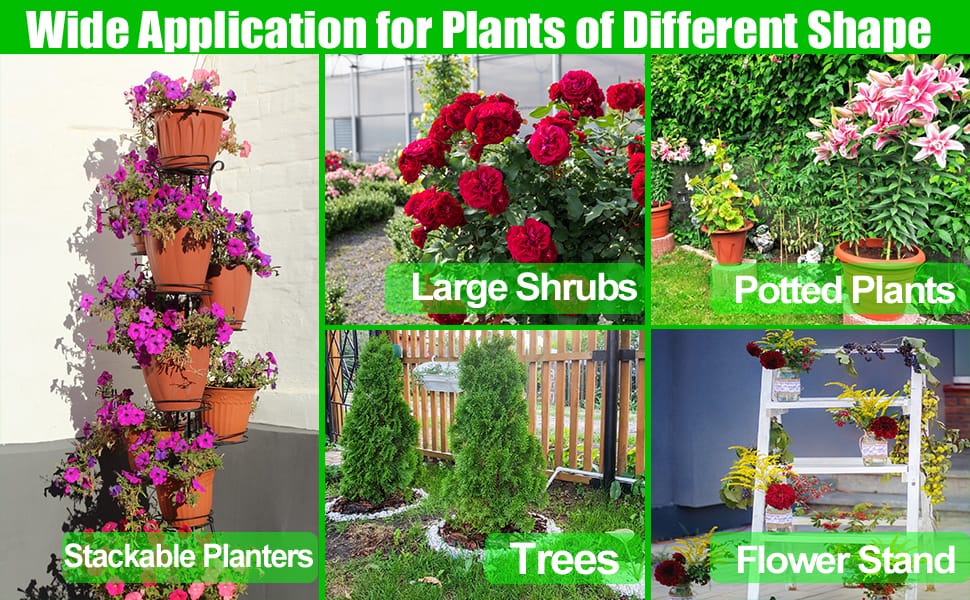 shrub palm tree covers