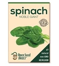 Giant Spinach Seeds