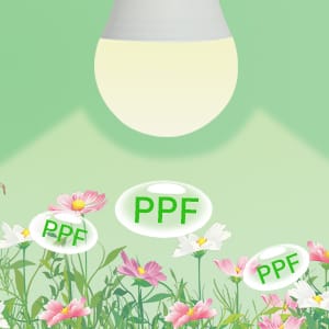 PPF