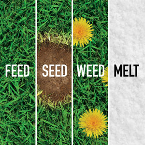 Feed Seed Weed Melt