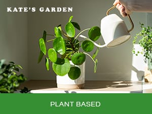watering plant