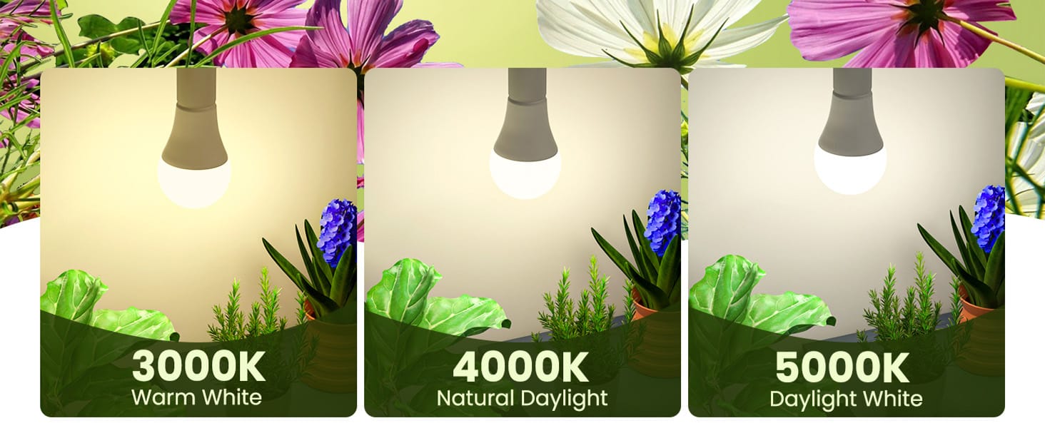 grow bulbs for indoor plants