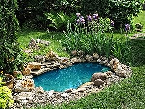 pond kit