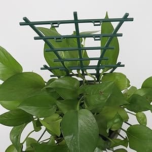 Stackable Plant Climbing Trellis