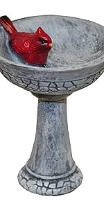 cardinal birdbath