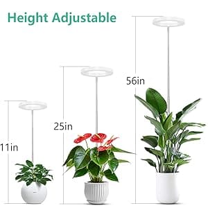 Height Adjustable