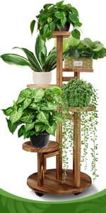 plant stand indoor