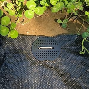 50Pcs Galvanized - 10