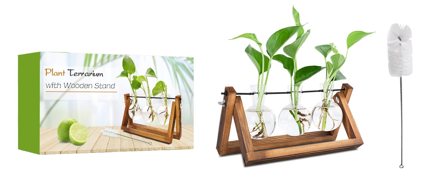 propogation plants