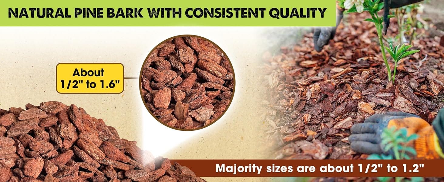 orchid bark potting mix