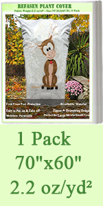 plant cover