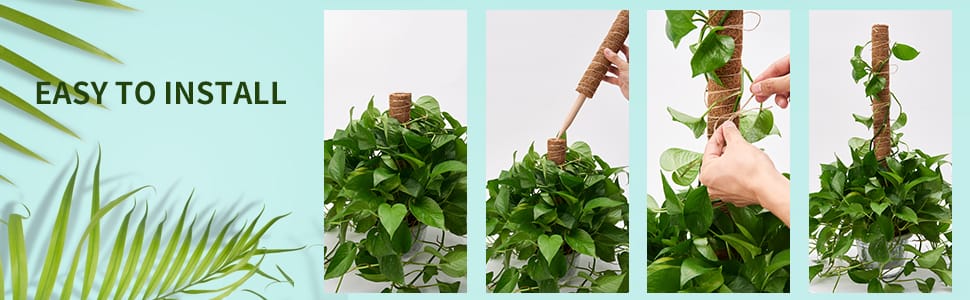 Coco Coir Poles