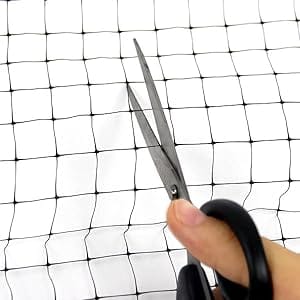 Easy to cut