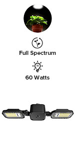 60W