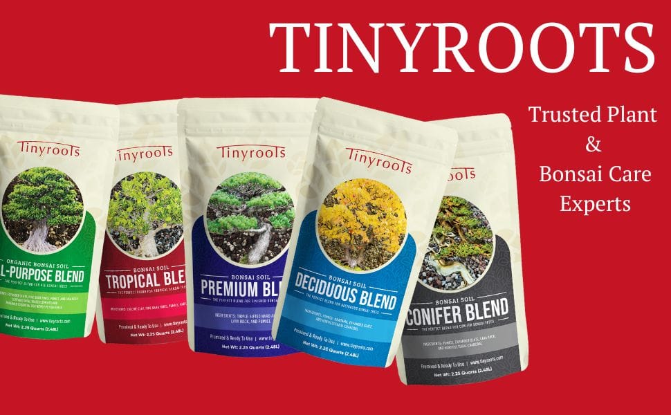 tinyroots bonsai soil suelo de bonsái