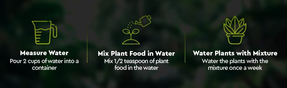 Easy Instructions for easy plant care of all indoor houseplants with safe indoor plant fertilizer