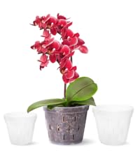 Orchid Pots