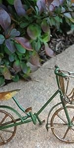 green bike