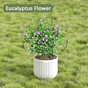 plant trellis