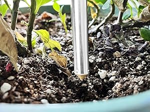 grow light