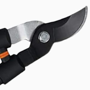 Close-up of blade