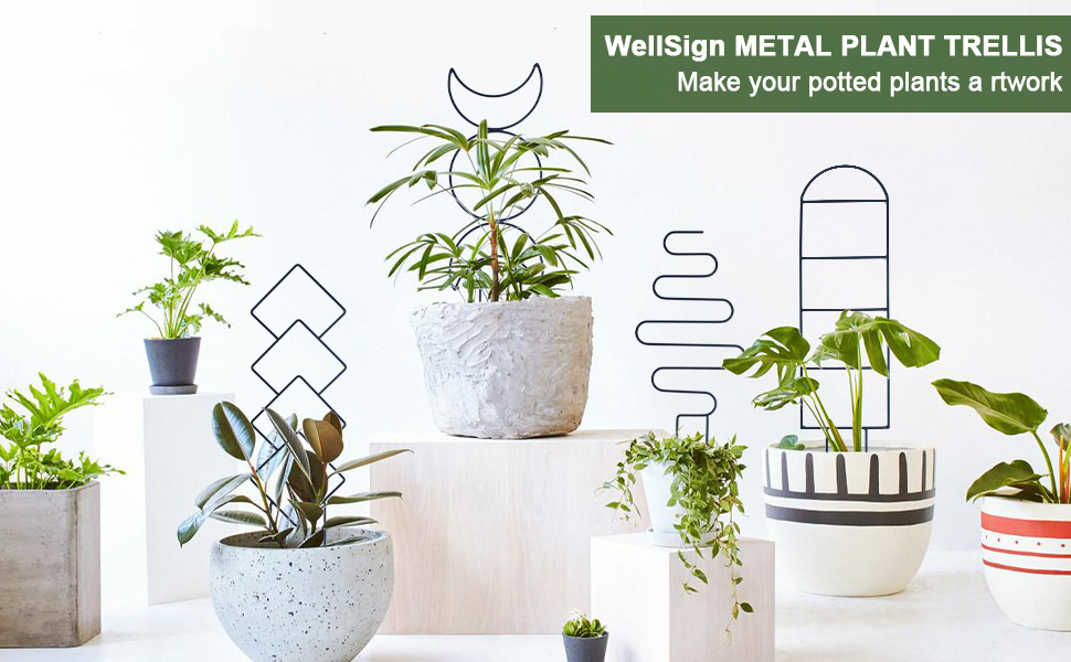 plant trellis for climbing plants indoor