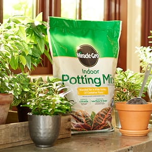 Miracle-Gro Indoor Potting Mix