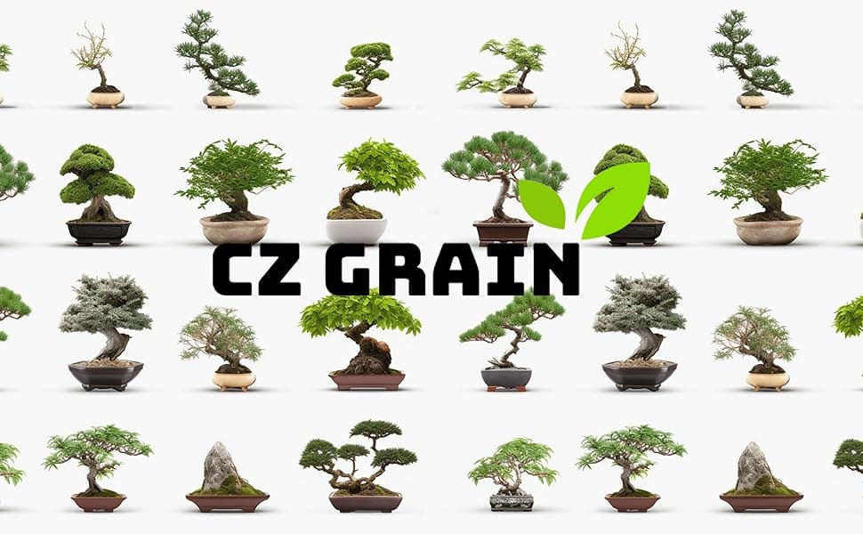 bonsai trees, cz grain