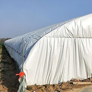 black and white greenhouse film