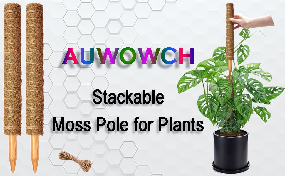 Moss Pole for Plants Monstera 2