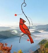 cardinal