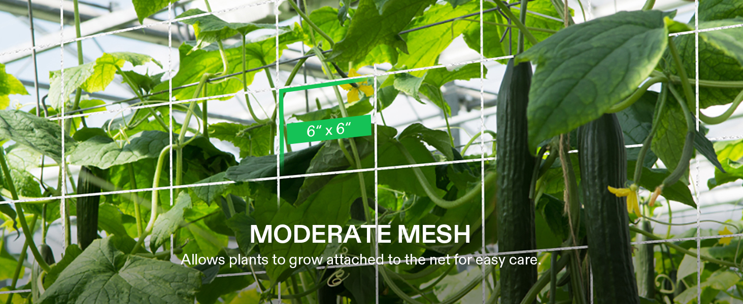 elastic trellis netting