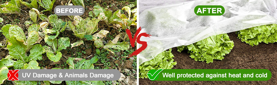 plant covers