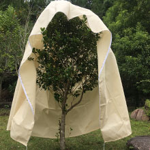 Tree cover