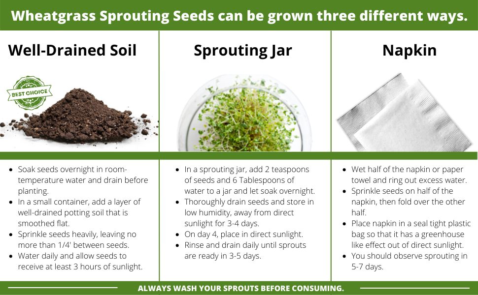 Grow wheatgrasss in soil, a jar or in a damp napkin.  Seeds reach peak nutrition within 7 or 8 days.