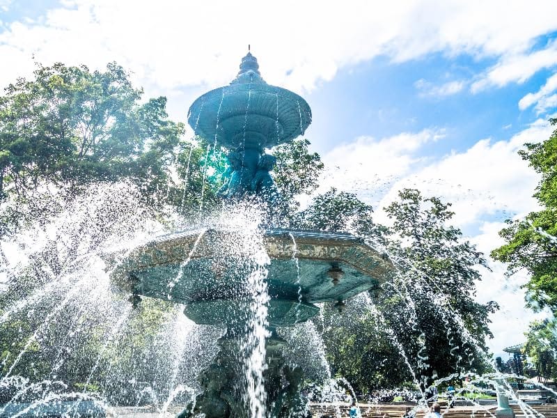Decorative Fountain Algae Control