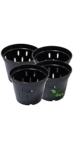 planter