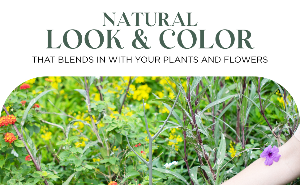 Natural Look and Color